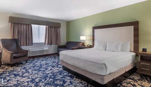 Deluxe Room, 1 King Bed, Non Smoking, Refrigerator & Microwave