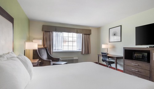 Standard Room, 1 King Bed, Non Smoking, Refrigerator & Microwave