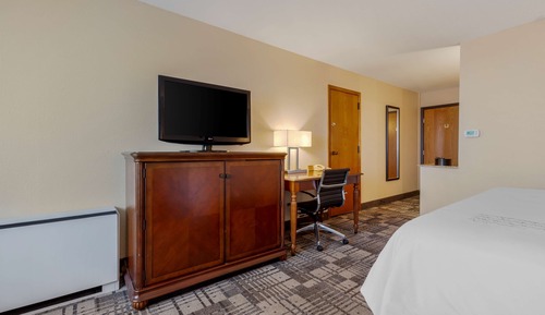 Standard Room, 1 King Bed, Non Smoking, Refrigerator & Microwave (with Sofabed)