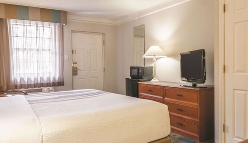 Room, 1 King Bed