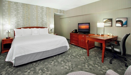 Room, 1 King Bed, Non Smoking (Mobility Accessible, Tub)