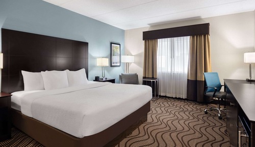 Room, 1 King Bed, Non Smoking (Pet-Friendly)