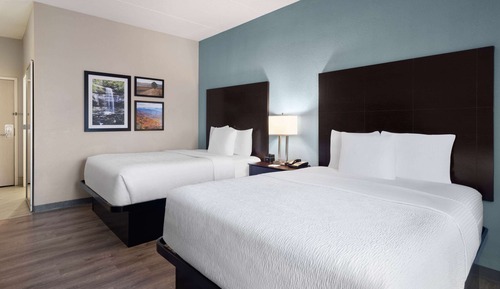 Room, 2 Queen Beds, Non Smoking (Pet-Friendly)