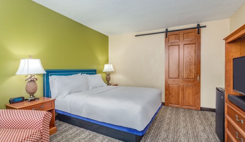 Standard Room, 1 Queen Bed, Accessible, City View
