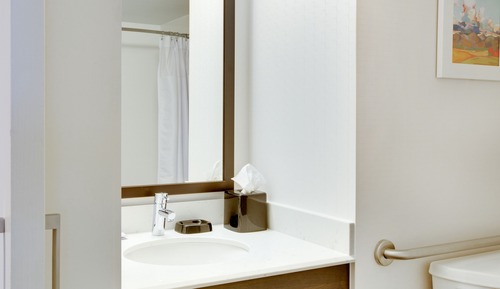 Room, 1 Queen Bed, Accessible (Mobility & Hearing, Roll-in Shower)
