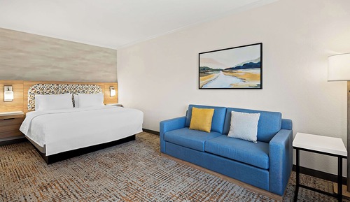 Room, 1 King Bed