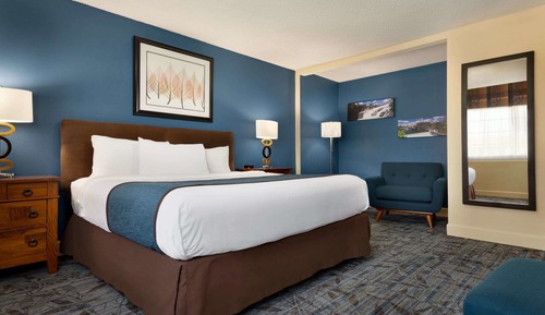 Room, 1 King Bed, Accessible, Non Smoking (Mobility Accessible)