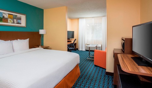Executive Suite, 1 King Bed with Sofa bed