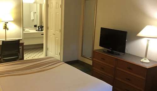 Room, 1 King Bed