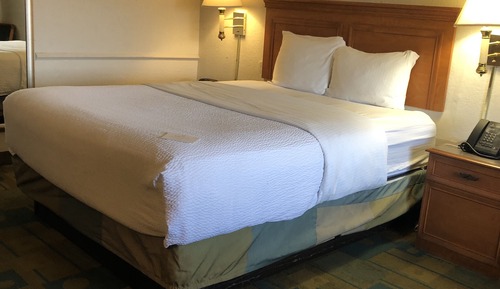 Room, 1 Queen Bed