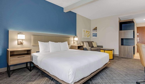 Suite, 1 King Bed with Sofa bed