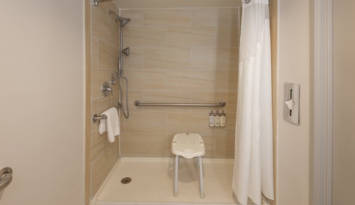 Standard Room, 1 Queen Bed, Mobility Accessible (Roll-In Shower)