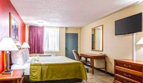 Basic Single Room, 1 Twin Bed
