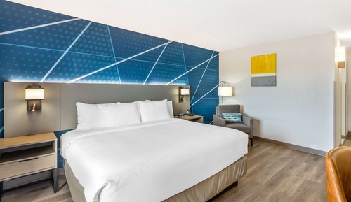 Standard Room, 1 King Bed, Non Smoking