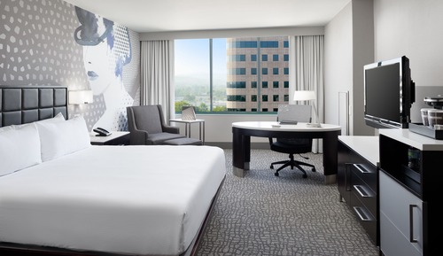 Deluxe Room, 1 King Bed, Accessible, City View (Bathtub)