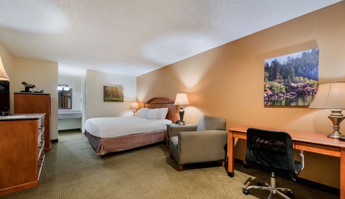 Executive Room, 1 King Bed, Non Smoking, Refrigerator & Microwave