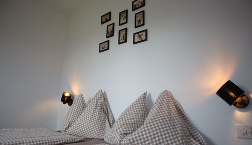 Comfort Single Room