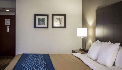 Standard Room, 1 King Bed, Non Smoking