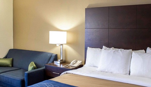 Room, 1 King Bed