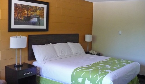 Classic Room (1 King)