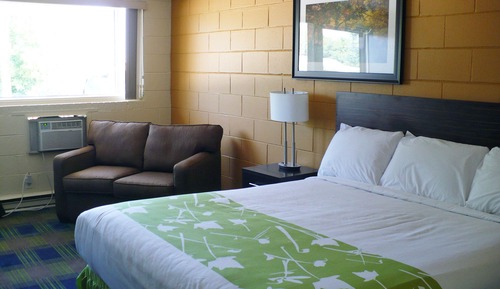 Executive Suite (Kitchenette, 1 King)