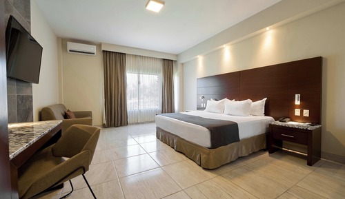 Business Suite, 1 King Bed with Sofa bed, Hot Tub (Suite Cam King tina de hidromasaje)