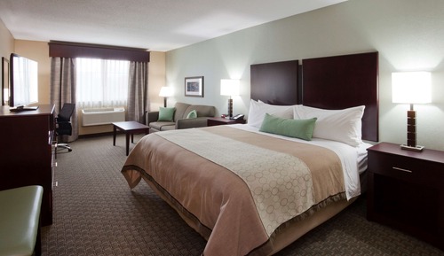 Standard Room, 1 King Bed