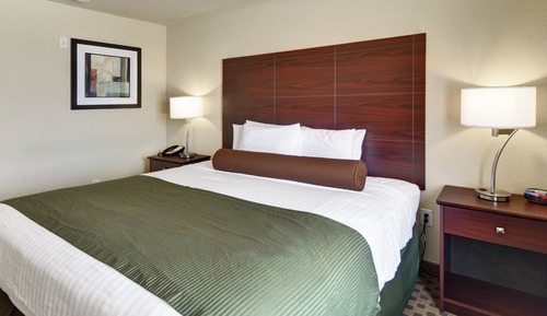 Room, 1 King Bed, Non Smoking