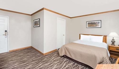 Room, 1 Queen Bed