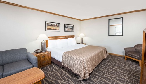 Room, 1 King Bed