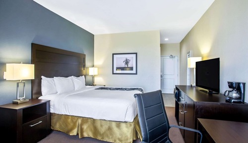 Room, 1 King Bed, Non Smoking