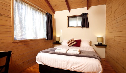 Large Cabin