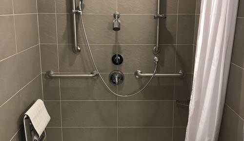 Room, 1 King Bed, Non Smoking (Roll-in Shower)
