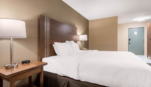 Standard Room, 1 King Bed, Non Smoking (Shower)