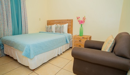 Classic Room, 1 Double Bed, Terrace