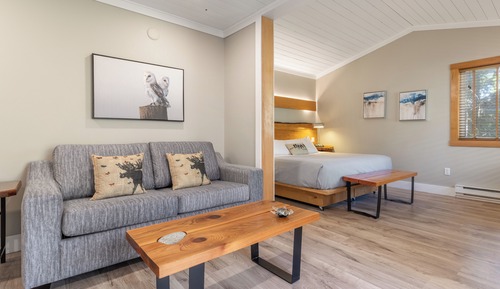 Basic Suite, 1 King Bed with Sofa bed