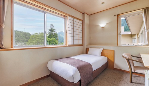 Single Room, Non Smoking
