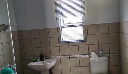 Basic Apartment