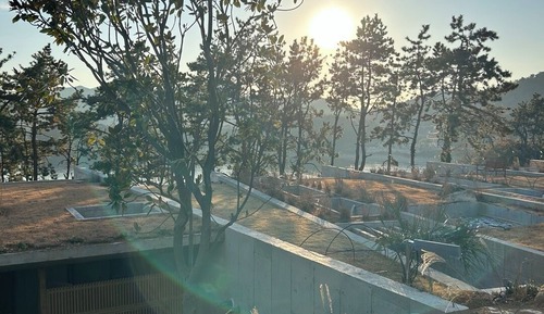 Comfort Single Room, Private Pool, Ocean View (603)