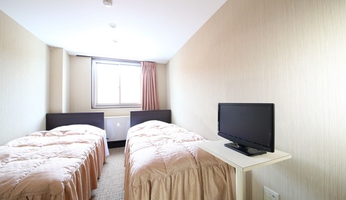 Twin Room, Non Smoking, Private Bathroom