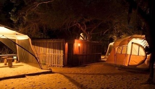 Standard Tent