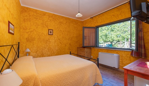 Comfort Double Room Single Use, 1 Bedroom, Accessible