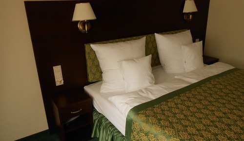 Double Room Single Use