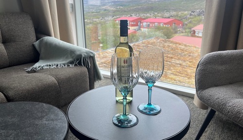 Standard Double Room, Mountain View