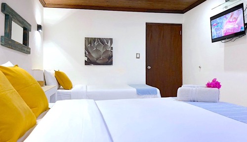 Deluxe Apartment, Private Bathroom, Courtyard View (APARTMENT 1)