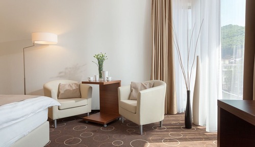 Standard Single Room