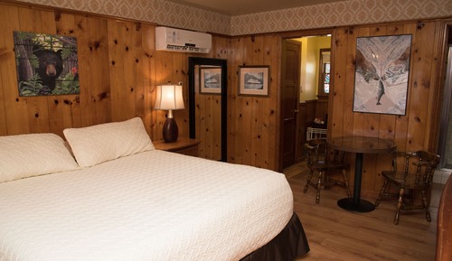 Room, 1 King Bed