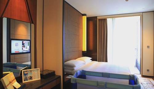 Room, 1 King Bed