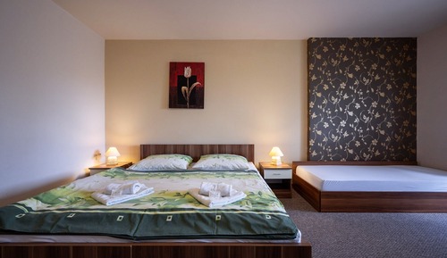 Comfort Triple Room (with 2 extra beds)