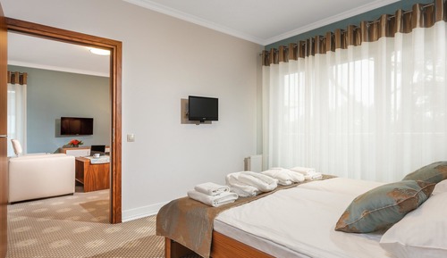 Superior Suite, 1 King Bed, Non Smoking, Balcony (with Sofabed)